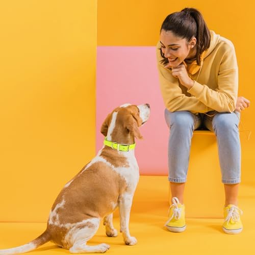 Viper Biothane Heavy Duty Waterproof Dog Collar Strong Coated Nylon Webbing w/Solid Brass Hardware Odor-Proof Easy to Clean High Performance Fits Small Medium or Large Dogs, Safety Yellow