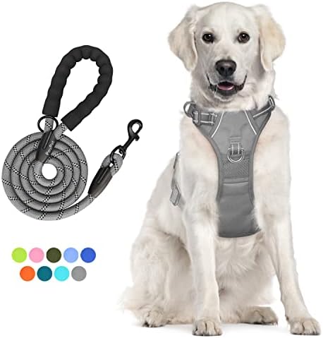 PoyPet Dog Harness and Leash Set, No Pull Vest with Front Clip and Handle