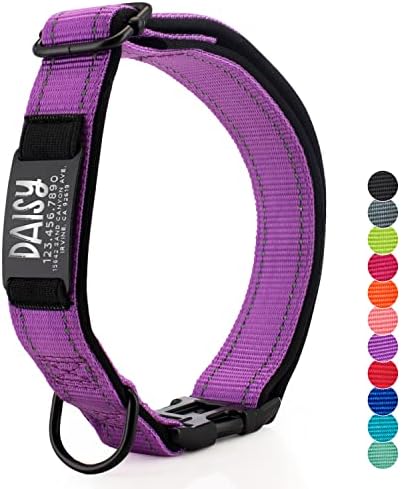 Personalization Lab - Customizable Dog Collar, Reflective Nylon, 4 Adjustable Sizes, 16 Fonts, Large, Small, Medium Dogs - Purple