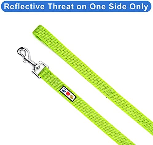 Pawtitas Green Dog Leash 6 ft M/L Reflective Durable Lightweight Dog Lead for Medium or Large Dogs and Puppies