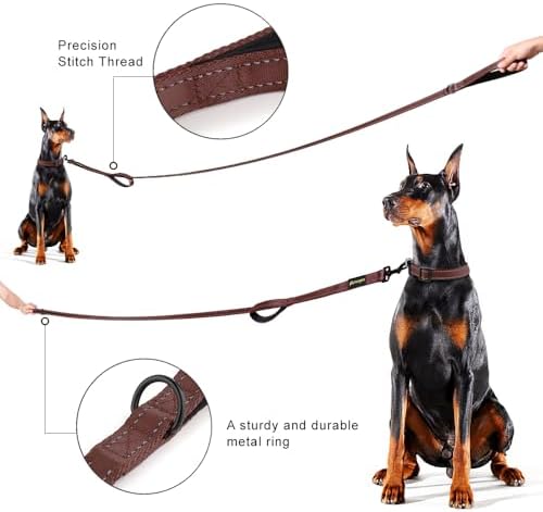 Plutus Pet Double Handle Dog Leash, 4 FT Long, for Medium Large Dogs