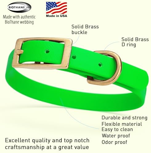 Viper Biothane Heavy Duty Waterproof Dog Collar Strong Coated Nylon Webbing w/Solid Brass Hardware Odor-Proof Easy to Clean High Performance Fits Small Medium or Large Dogs, Tropical Green