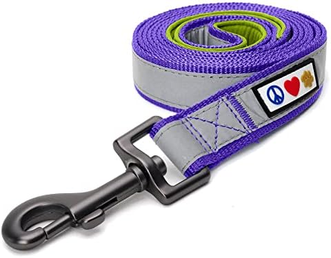 Pawtitas 6 FT Padded Dog Leash with Comfortable Neoprene Padding Handle - Purple Lead | Small Reflective Dog Leash with Highly Reflective Band Perfect for Extra Small and Small Dogs and Puppies.
