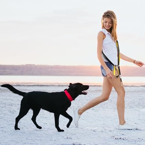 Heavy Duty Dog Leash for Large Dogs – 6FT Reflective Bungee with Padded Handles, Strong Carabiner Clip, No Pull Control for Medium & Large Breeds, Includes Poop Bag Holder & Treat Pouch (Hot Pink)