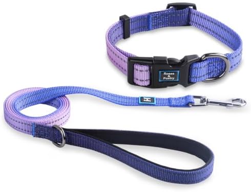 Roses&Poetry Small Dog Collar and Leash Set, Puppy Reflective Leashes with Collars, Adjustable Durable Matching Collar Leash for Small Dogs Girl (BluePurple-S)