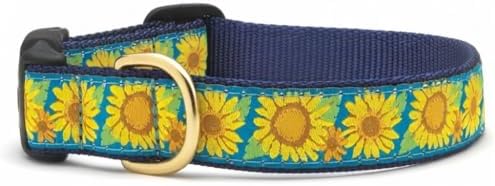 Up Country Bright Sunflower Dog Collar, Medium (12 to 18 inches) 1 inch Wide Width