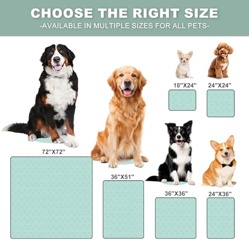 Washable Pee Pads for Dogs 2 Pack, Reusable Waterproof Leak-Proof Puppy Training Pads, Super Absorbent Non-Slip Dog Whelping Pads for Crate, Playpen, Bed & Floor (24"x24" Green)