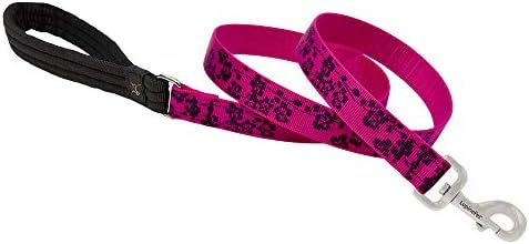 LupinePet Originals 1" Plum Blossom 4-Foot Padded Handle Leash for Medium and Larger Dogs