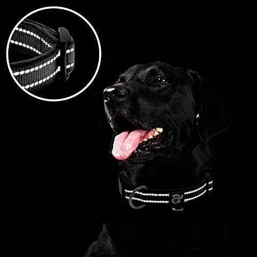 azuza Reflective Dog Collar, Neoprene Padded Small Dog Collar, Black, S