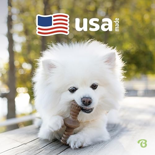 Benebone 2-Pack Maplestick/Zaggler Durable Dog Chew Toys, Dog Bones, Tiny