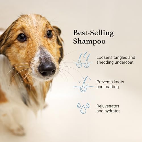iGroom Deshedding & Detangling Dog Shampoo, Luxury Pet Beauty Care, Loosen Tangles + Unwanted Undercoat, Adds Shine + Volume, Made in USA (1 GAL) (Pack of 2)