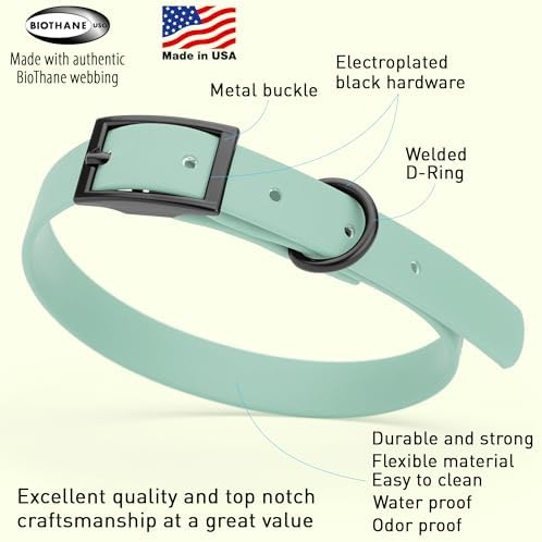 Dogline Biothane Waterproof Dog Collar Strong Coated Nylon Webbing with Black Hardware Odor- Proof for Easy Care Easy to Clean High Performance Fits Small Medium or Large Dogs, Sage Green