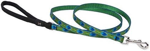 LupinePet Originals 1/2" Tail Feathers 4-foot Padded Handle Leash for Small Pets