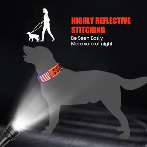 Heavy Duty Dog Collar for Medium Large Dogs, Orange, Large