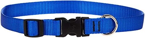 LupinePet Basics 3/4" Blue 13-22" Adjustable Collar for Medium and Larger Dogs