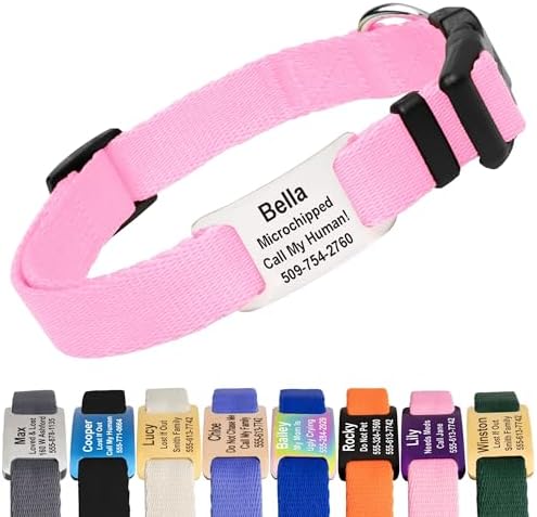 GoTags Dog Collar with Personalized Nameplate, Adjustable Collar Tag Combo