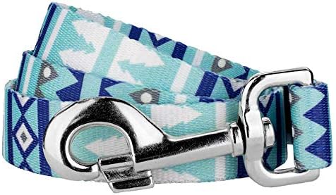 Country Brook Petz - Snowy Pines Everyday Dog Leash - Christmas Collection Featuring Festive Designs (6 Foot, 1 Inch Wide)
