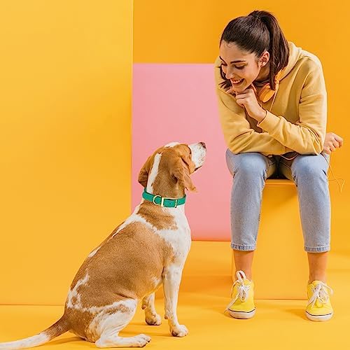 Viper Biothane Heavy Duty Waterproof Dog Collar Strong Coated Nylon Webbing w/Solid Brass Hardware Odor-Proof Easy to Clean High Performance Fits Small Medium or Large Dogs, Teal