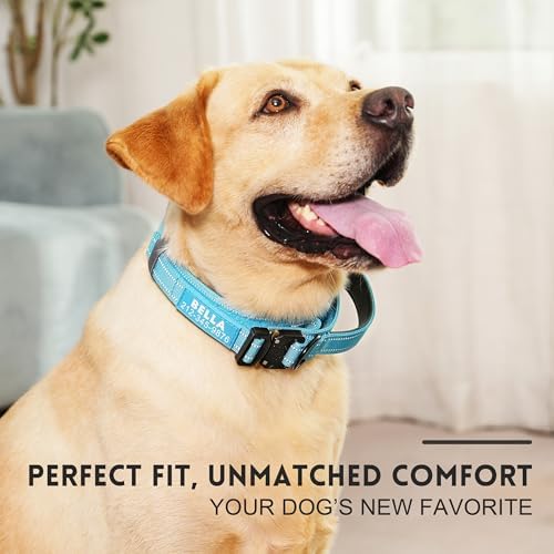 Personalized Tactical Dog Collar with Handle, Reflective & Padded