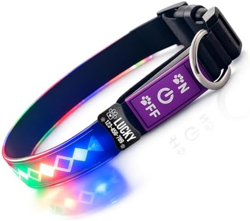 Personalized Flashing Dog Collar with Laser Engraved ID Tag