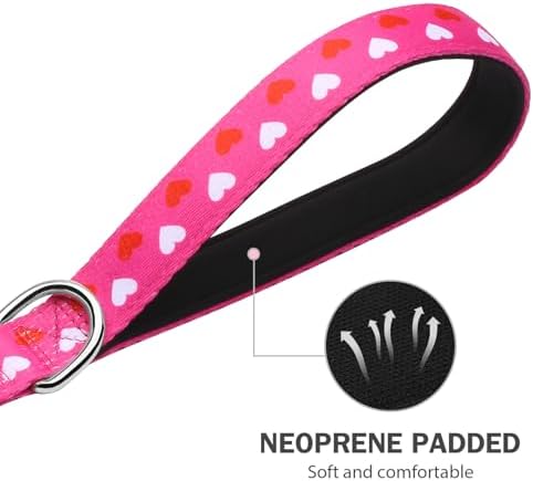 Hikiko 6FT Dog Leash Padded Double Handle with Designed Pattern