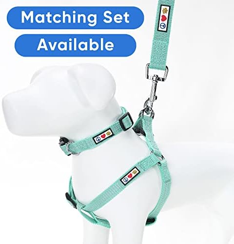 Pawtitas Reflective Dog Collar for X-Small Dogs – Adjustable Nylon Puppy Collar with Quick-Release Buckle | Fits Neck 8–13 in | Night Safety Training Collar | XS | Teal