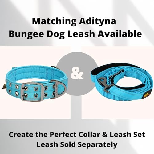 ADITYNA Heavy Duty Dog Collar for Medium Dogs with Traffic Handle