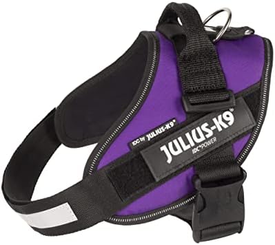 Julius-K9 IDC Powerharness, Size: M/0, Dark Purple