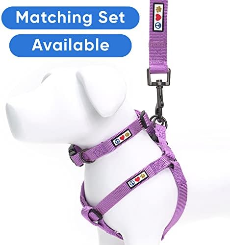 Pawtitas Solid 6 ft Orchid Dog Leash XXS/Cat Custom Name and Phone Embroidery Strong Nylon Leash for Small Breeds