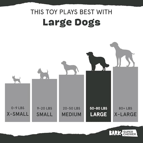 BarkBox Tipsy Rosé Dog Toy - Toy for Large Dogs