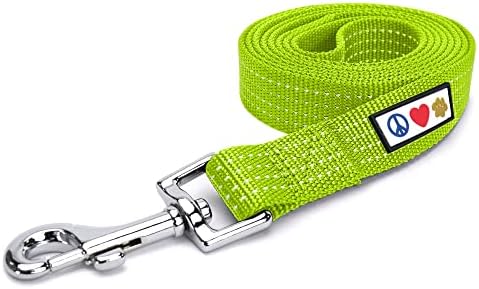 Pawtitas Green Dog Leash 6 ft M/L Reflective Durable Lightweight Dog Lead for Medium or Large Dogs and Puppies
