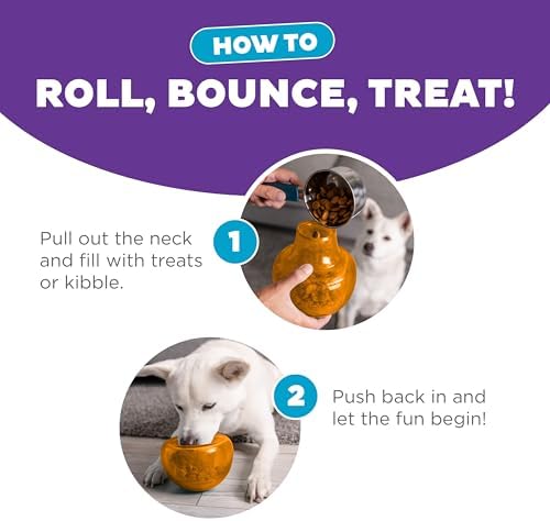 Outward Hound Snoop Interactive Treat Dispensing Dog Toy, Orange, 5"