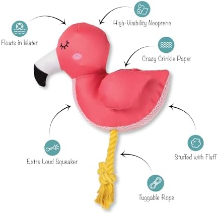 Fringe Studio Floating Dog Toy with Rope BE FLAMAZING, Pet Shop Collection (640028)