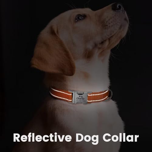 Silent Dog Collar Personalized with Name Phone Number Laser Engraved