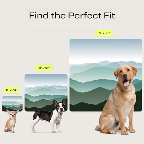 PetSpy Washable Pee Pads for Dogs - Waterproof Reusable Puppy Pads No-Slip Surface - Stylish Dog Potty Training Pads Protect Against Leakage (Landscape, 1 Pack - 72" x 72")