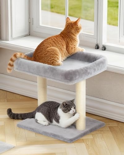 19" Small Cat Tree with Scratching Post for Indoor Cats with Perch