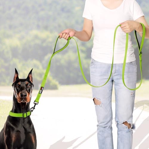 Plutus Pet Double Handle Dog Leash, 5 FT Long, for Medium Large Dogs