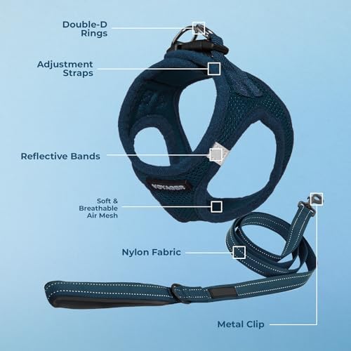 Best Pet Supplies Voyager Step-in Air All Weather Mesh Harness and Reflective Dog 5ft Leash Combo with Neoprene Handle, for Small, Medium and Large Breed Puppies - Blue, X-Lrage