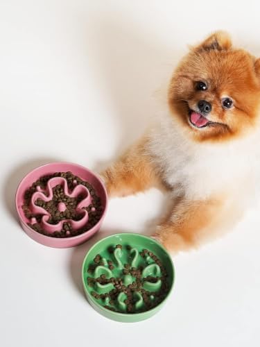 LE TAUCI Dog Bowls Slow Feeder Ceramic, 1.5 Cup Slow Feeding Bowl for Small and Medium Breed, Puzzle Dog Food Bowl for Fast Eater, Pink+Green