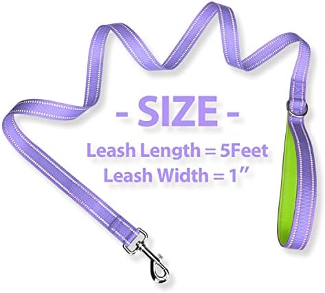 PHOEPET 5 Feet Dog Leash - Dual-Side Reflective - Soft Padded Handle
