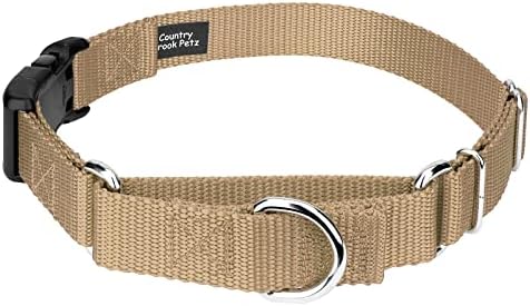 Martingale Dog Collar - Heavy Duty Nylon Adjustable Martingale Dog Collar with Plastic Buckle for Small Medium Large Breeds - 30+ Colors (3/4 Inch, Small, Copper Gold)