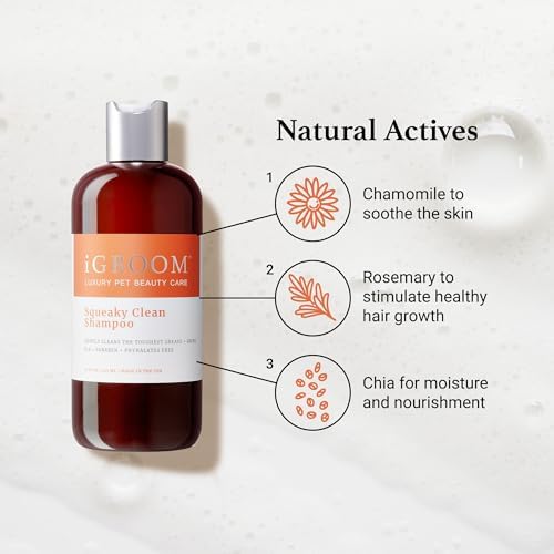 iGroom Squeaky Clean Dog Shampoo, Luxury Pet Beauty Care, Intense Cleaning Power, Chamomile Extracts Sooth Skin, Made in USA (1 GAL) (Pack of 2)