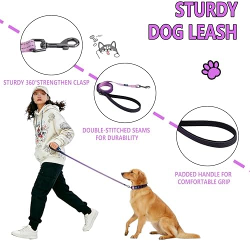 Roses&Poetry Lightpurple Large Dog Collar and Leash Set, Puppy Reflective Leashes with Collars, Adjustable Durable Matching Collar Leash for Large Dogs Girl (Lightpurple-L)