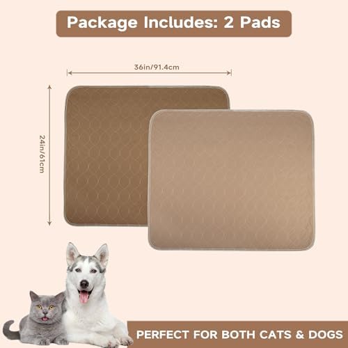 Paw Legend Washable Reusable Dog Pee Pads Super Absorbent (2 Pack) - Washable Reusable Puppy Training Pads | Quality Travel Pee Pads for Dogs | Absorbent and Odor Controlling