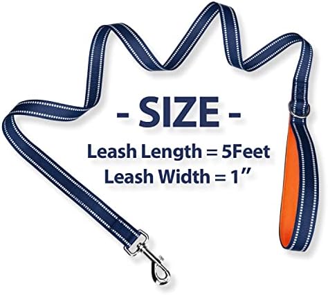 PHOEPET 5 Feet Dog Leash - Dual-Side Reflective - Soft Padded Handle