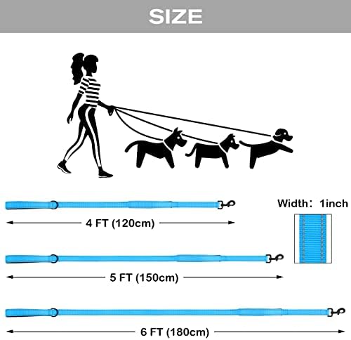 Joytale Dog Leash for Large Dogs that Pull, Double Handle, 6FT, Aqua Blue