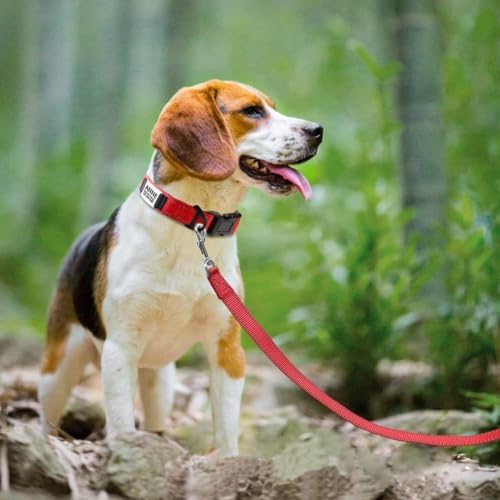 Joytale Personalized Dog Collar with Name Plate Built-in for Medium Dogs