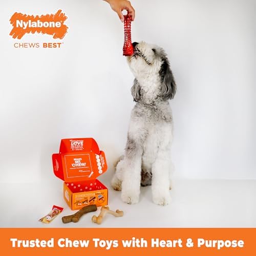 Nylabone Dog Gift Box, Strong Chew Toys & Treat, Large, 4 Count