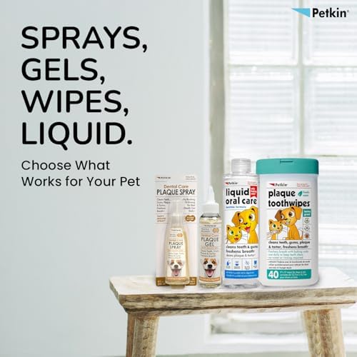 Petkin Cat and Dog Dental Wipes, 80 Wipes (Fresh Mint) - Natural Formula Cleans Teeth, Gums & Freshens Breath - for Daily Use - Convenient Dog Dental Care - 2 Packs of 40 Wipes (80 Wipes Total)