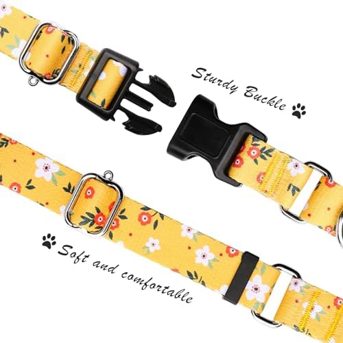 Hikiko Martingale Collar for Dogs with Special Pattern,Adjustable,L